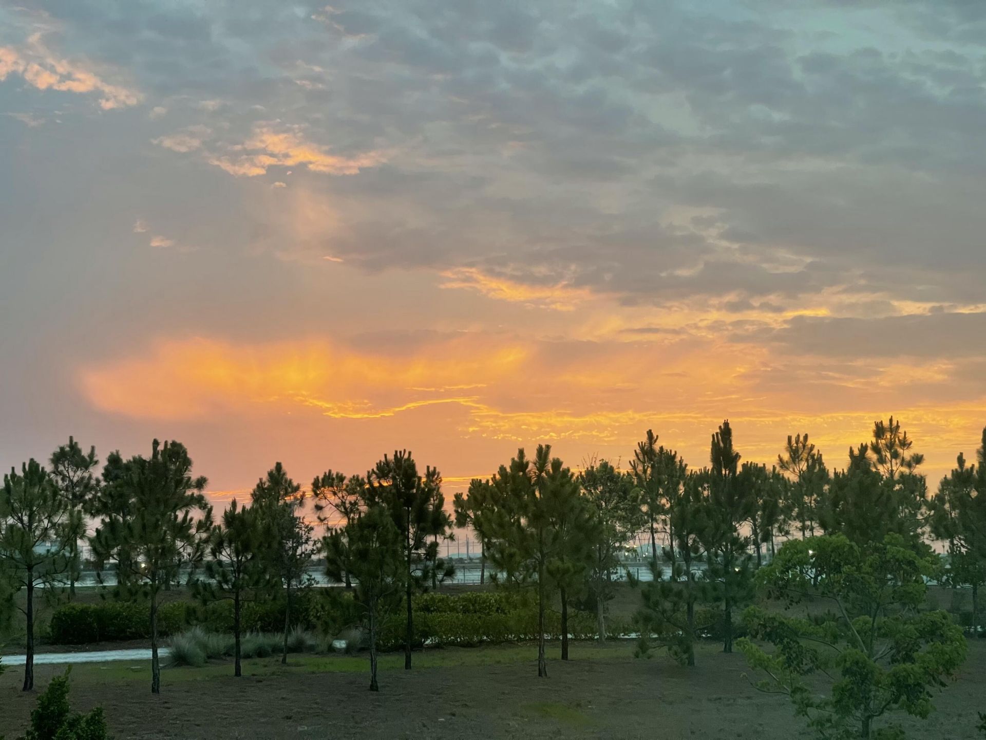 1361 Wandering Willow Way, Loxahatchee, FL 33470 Photo