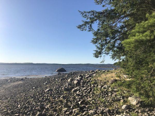 30 Moose Trail , Waltham, ME 04605