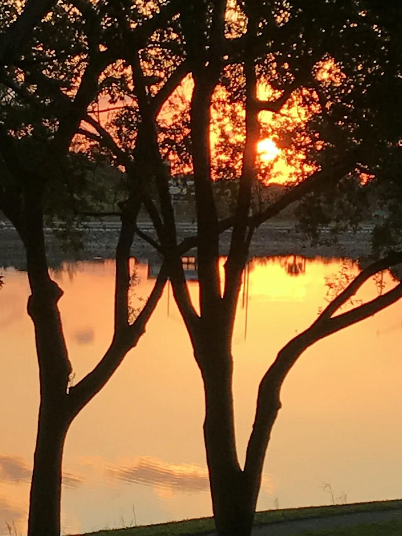 3450 Blue Lake Drive, Unit 305, Pompano Beach, FL 33064 Photo