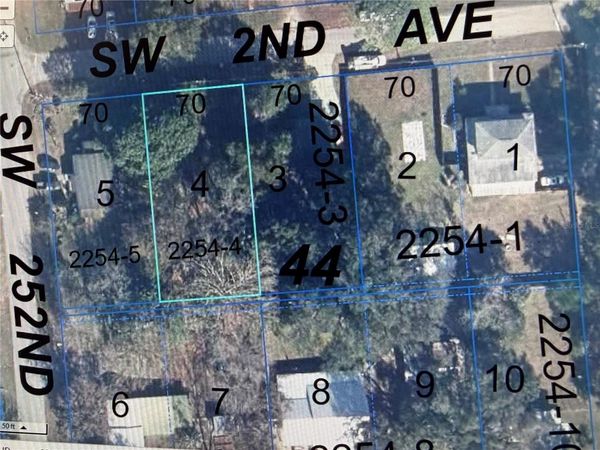 215 SW 252ND STREET , NEWBERRY, FL 32669