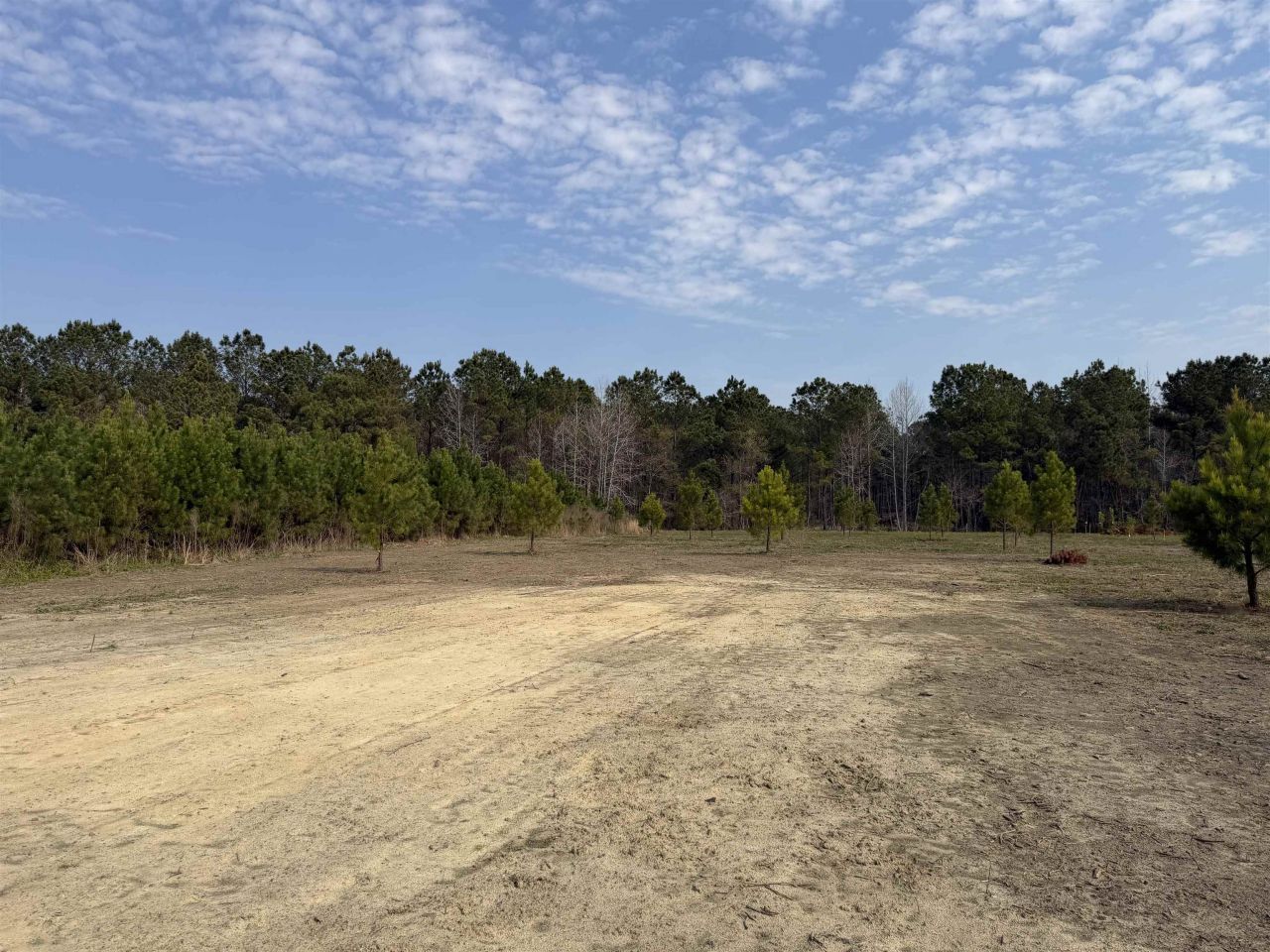 1340 W G Rd. Photo 5