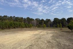 1340 W G Rd. photo 4