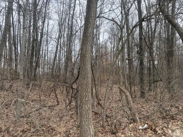 6497 E 128th Street, Sand Lake, MI 49343