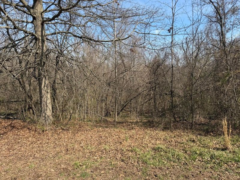 844 Buhl Morton Road, Gallipolis, OH 45631 Photo 56