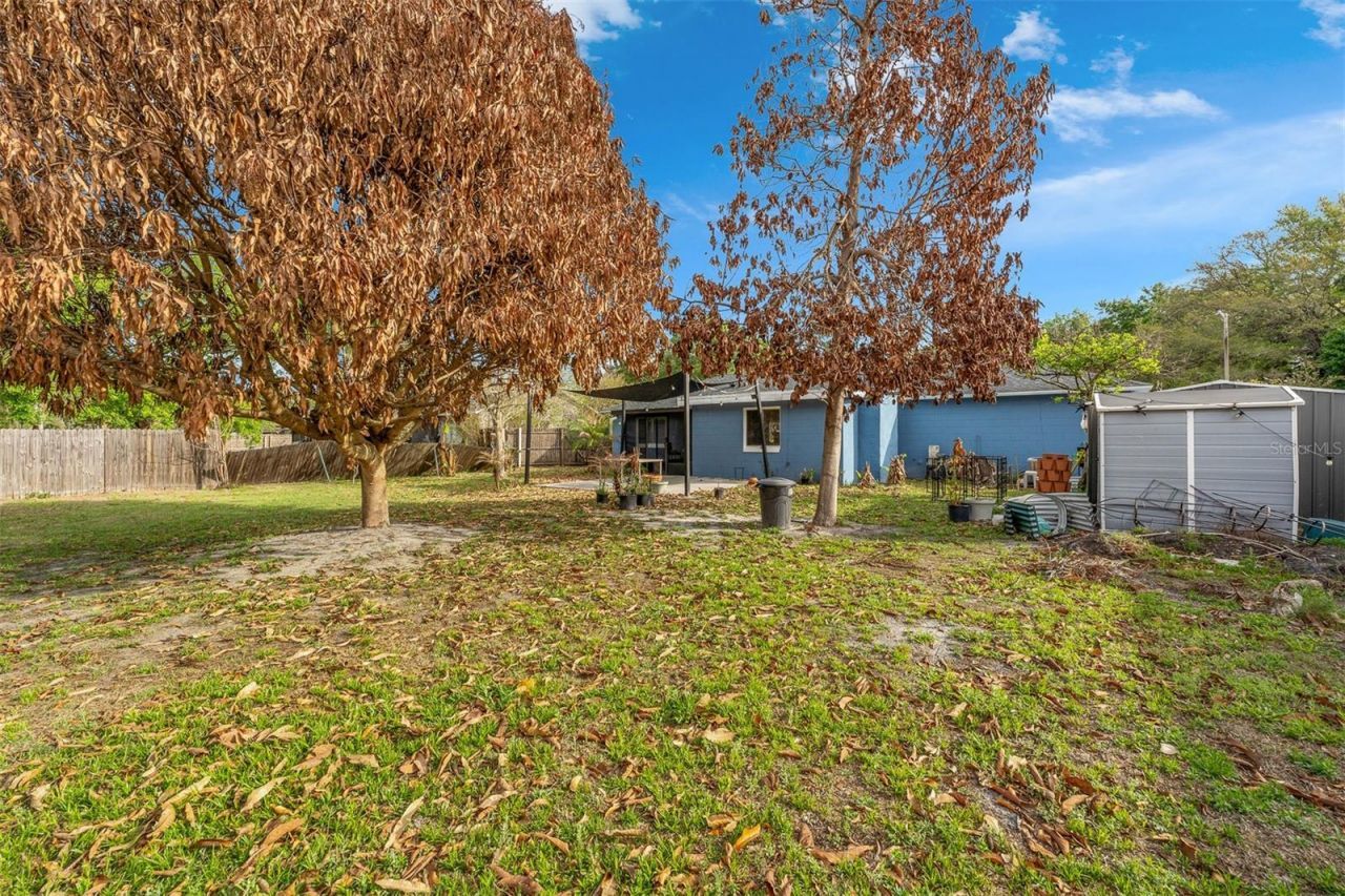 8509 Lyonia Drive , Orlando, FL 32829 Photo