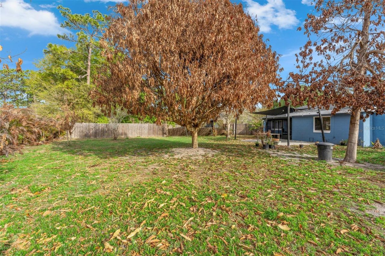 8509 Lyonia Drive , Orlando, FL 32829 Photo