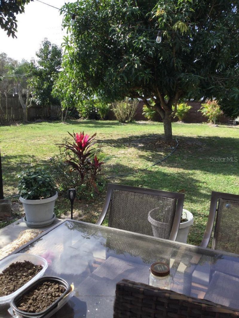 8509 Lyonia Drive , Orlando, FL 32829 Photo