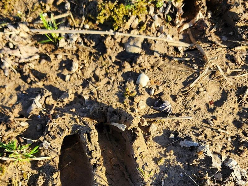 0 Justus Road SW, Amanda, OH 43102 Photo 19