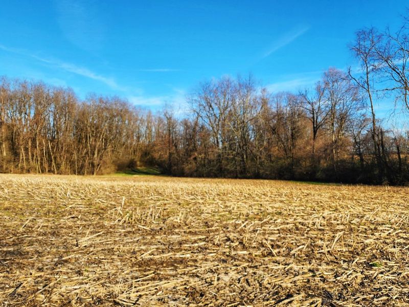 0 Justus Road SW, Amanda, OH 43102 Photo 24