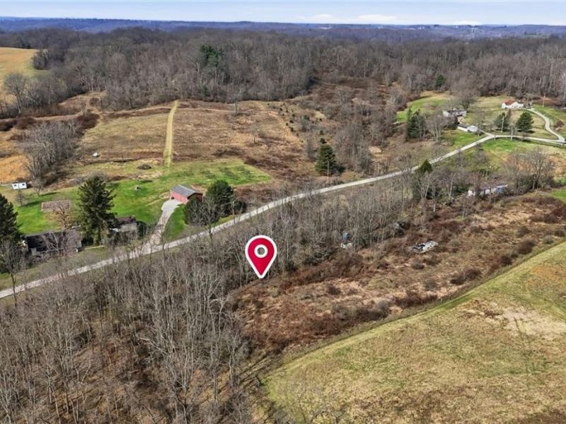 14489 Clay Pike, Senecaville, OH 43780 Photo 3