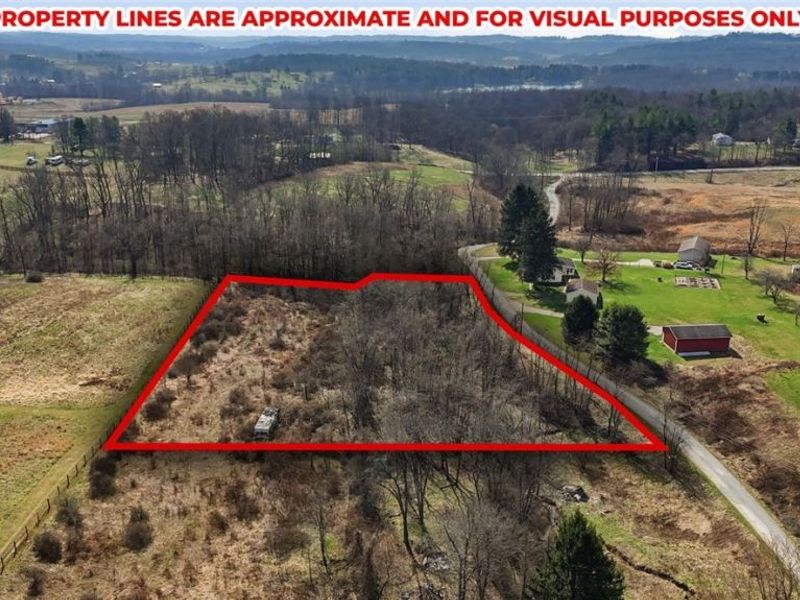 14489 Clay Pike, Senecaville, OH 43780 Photo 5