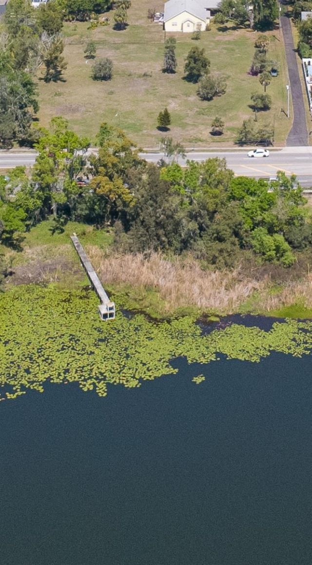 2125 W Bearss Avenue, Tampa, FL 33618 Photo