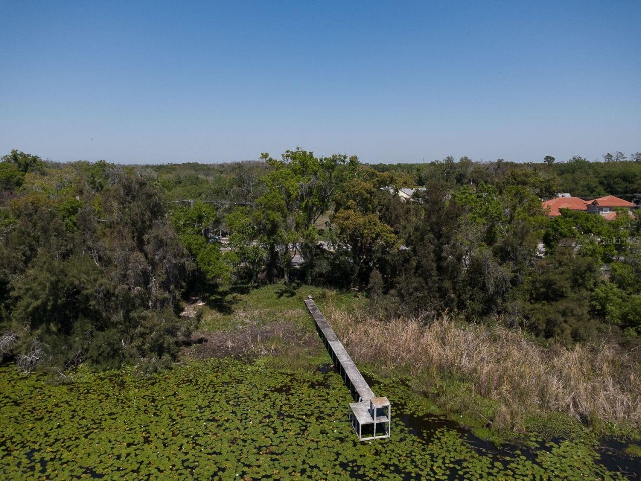 2125 W Bearss Avenue, Tampa, FL 33618 Photo