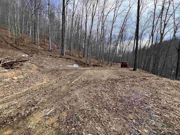 1251 County Highway 40-11 Road, Duck, WV 25063