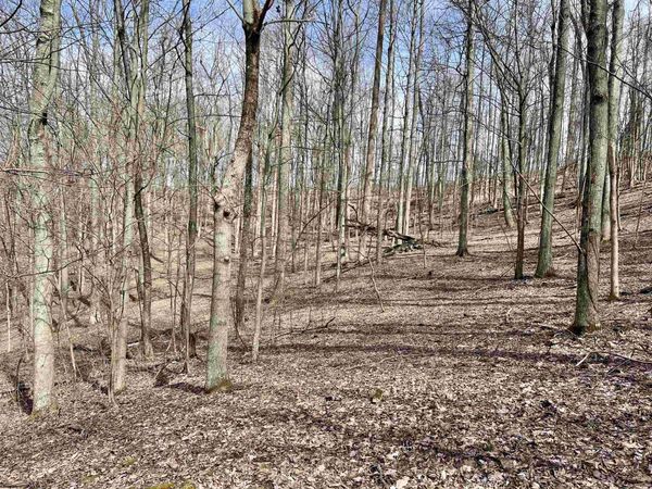 1251 County Highway 40-11 Road, Duck, WV 25063