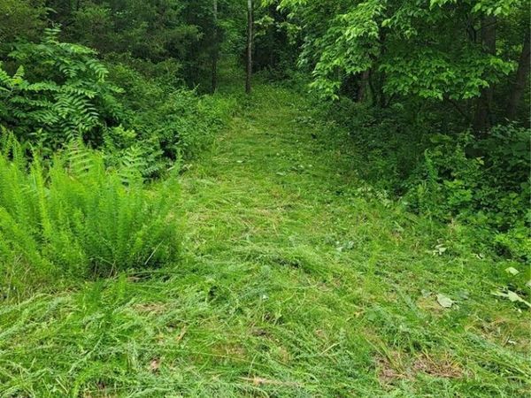 436 Lower Hollow Lane , Augusta, MO 63332