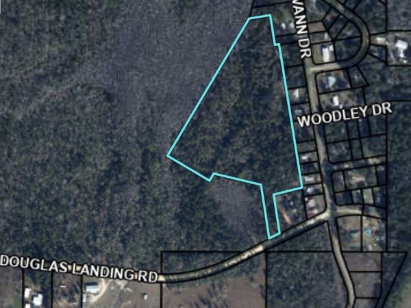 tbd Douglas Landing Road , Wewahitchka, FL 32465