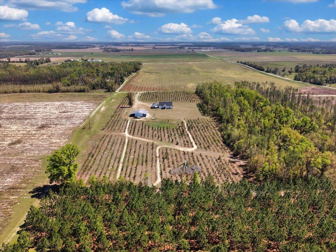 371 NE Catnip Way , Lee, FL 32059 Photo