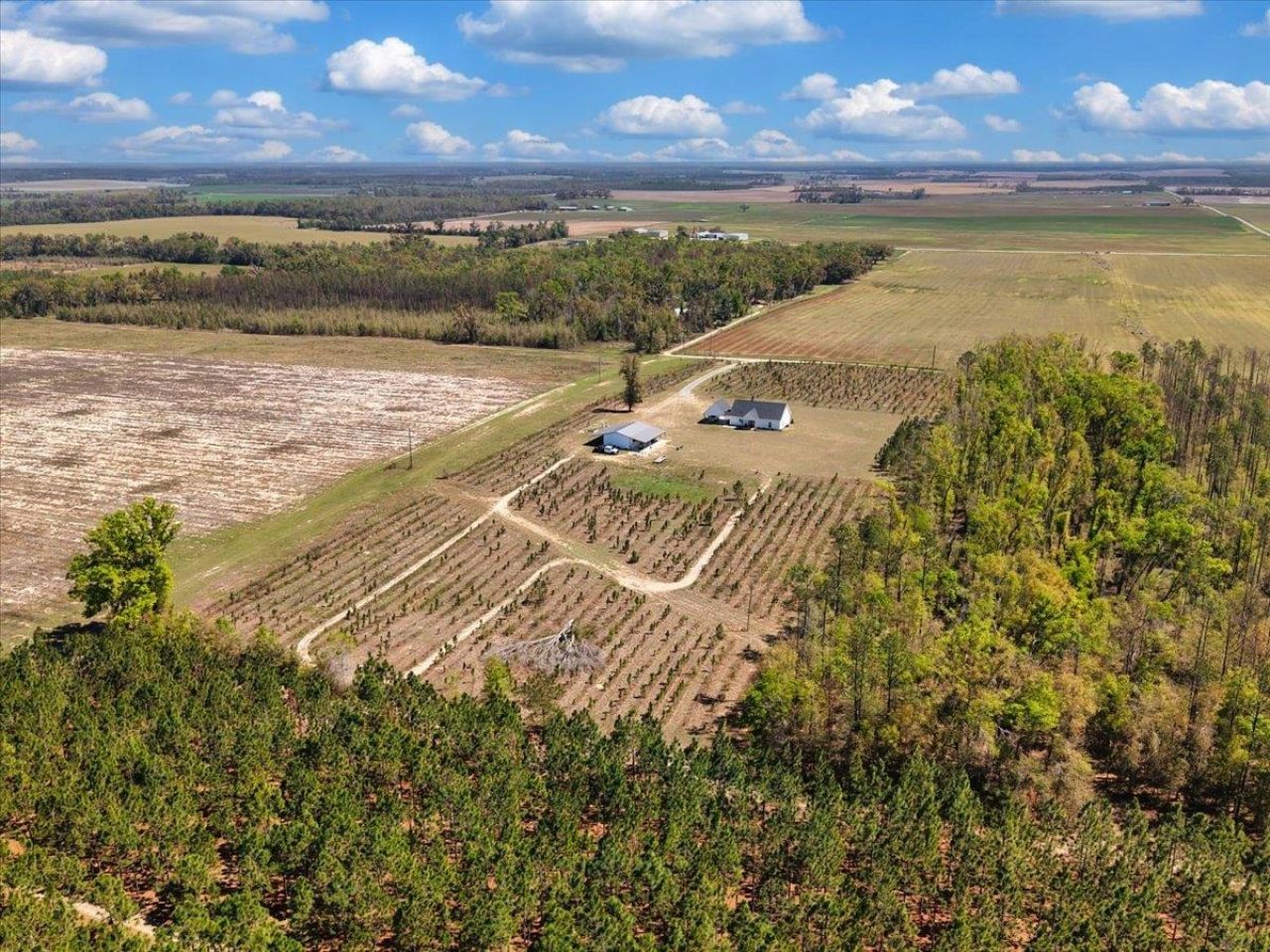 371 NE Catnip Way , Lee, FL 32059 Photo