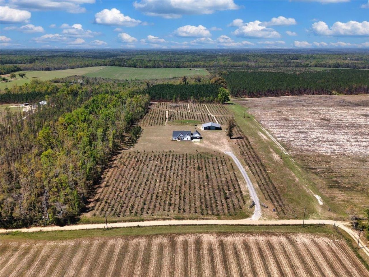 371 NE Catnip Way , Lee, FL 32059 Photo