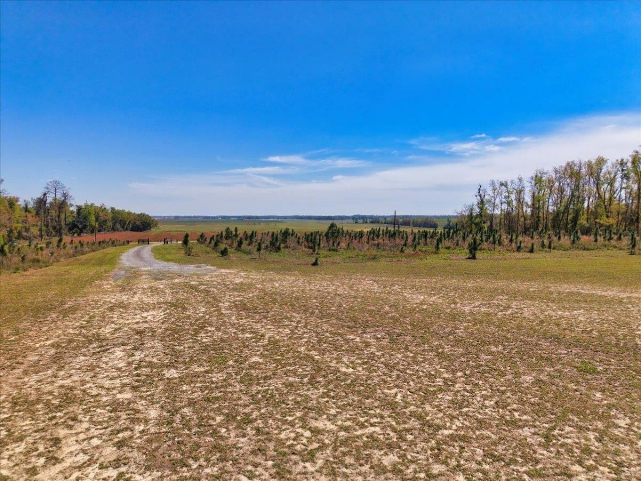 371 NE Catnip Way , Lee, FL 32059 Photo