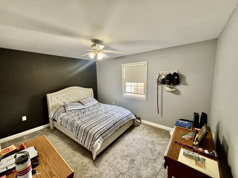 1009 Terrace Avenue, Coldwater, OH 45828 Photo 18