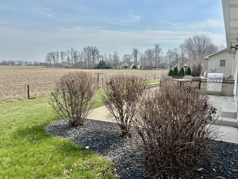 1009 Terrace Avenue, Coldwater, OH 45828 Photo 8