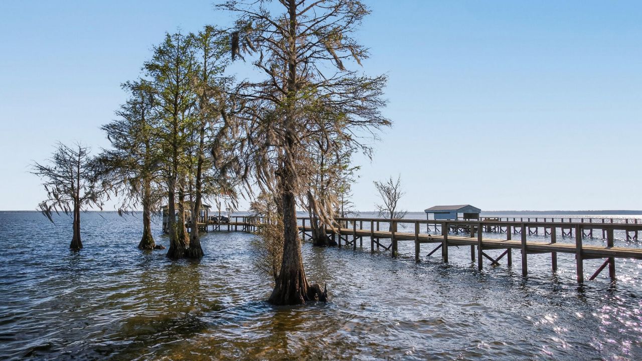 3282 Francis Marion Boulevard Photo 151