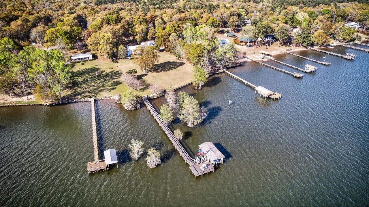 3282 Francis Marion Boulevard Photo 154