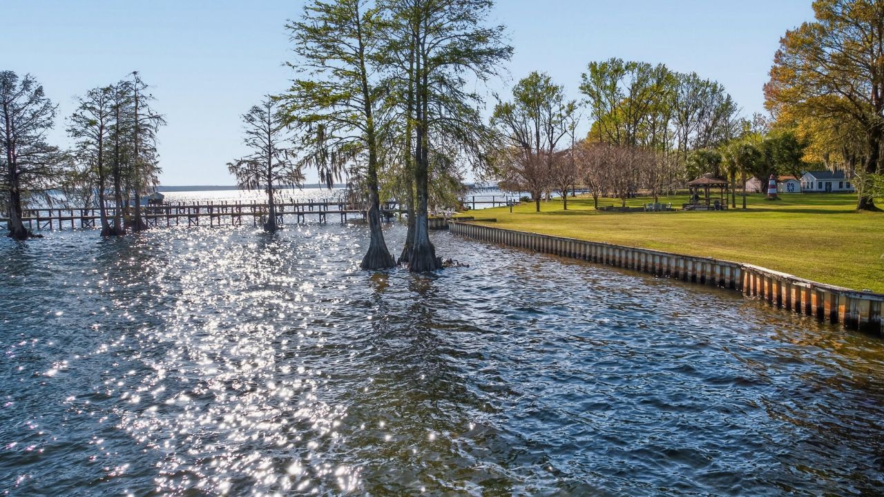 3282 Francis Marion Boulevard Photo 156