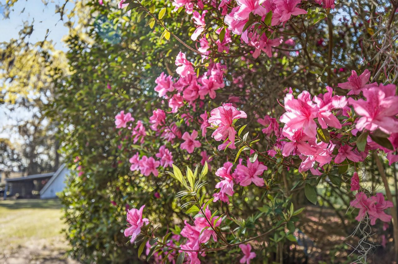 3282 Francis Marion Boulevard Photo 163