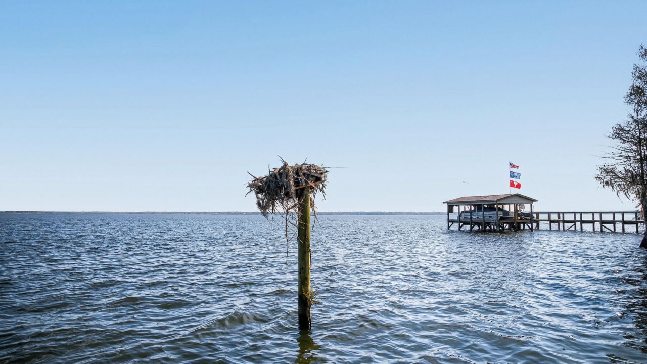 3282 Francis Marion Boulevard Photo 4