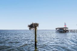 3282 Francis Marion Boulevard photo 4