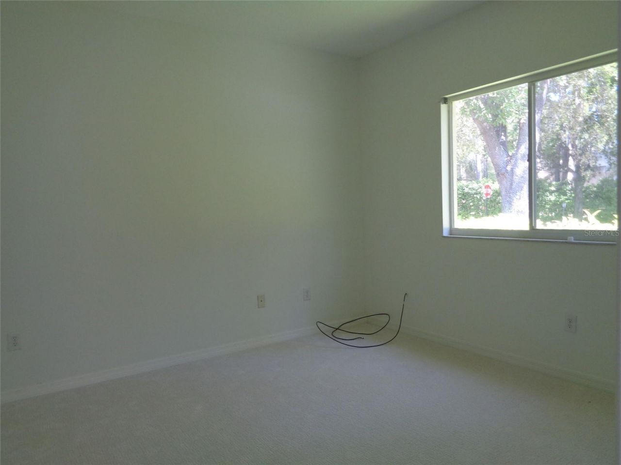 6102 Savoy Circle , Lutz, FL 33558 Photo