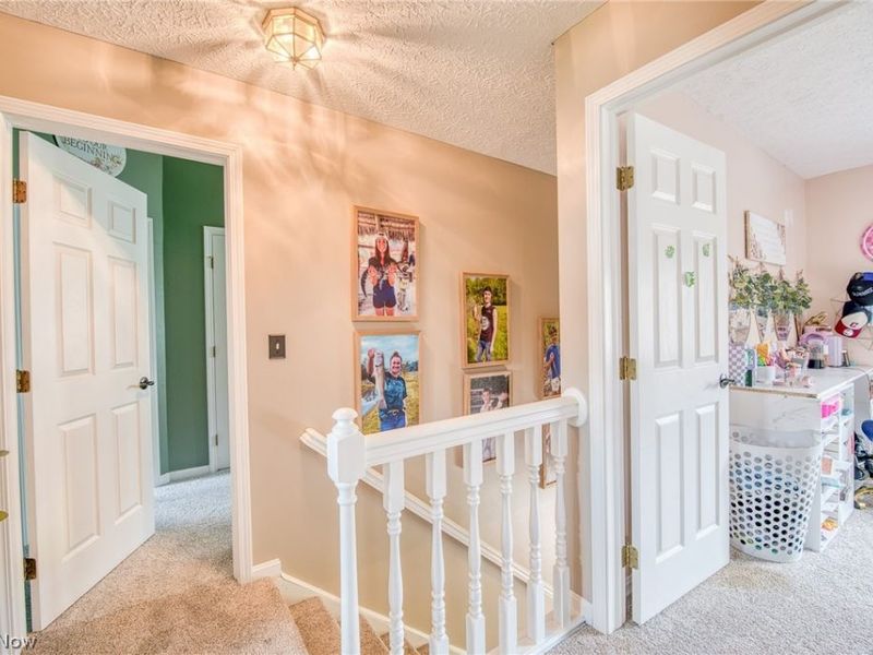 1215 Heatherstone Drive, Painesville Township, OH 44077 Photo 16