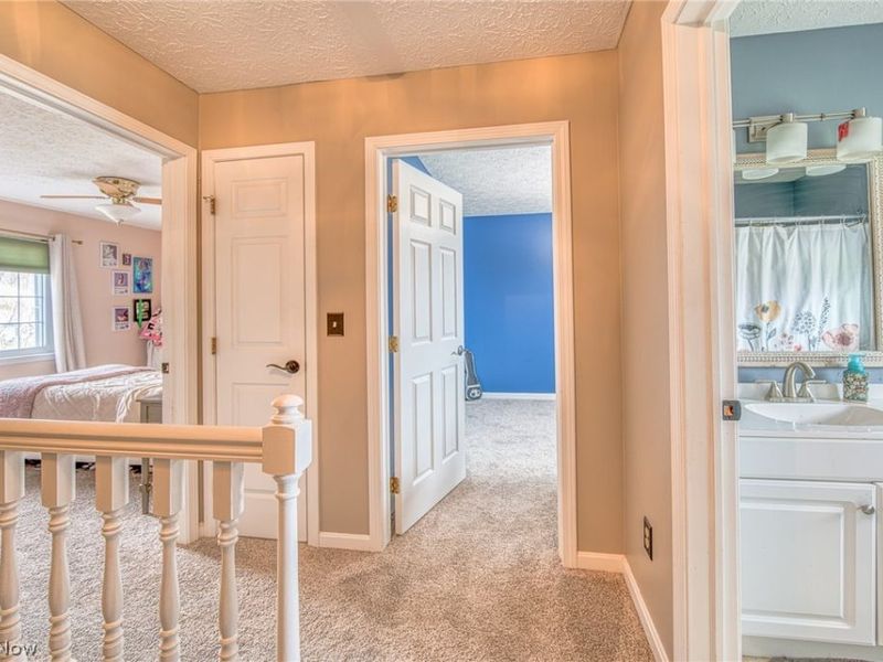 1215 Heatherstone Drive, Painesville Township, OH 44077 Photo 17