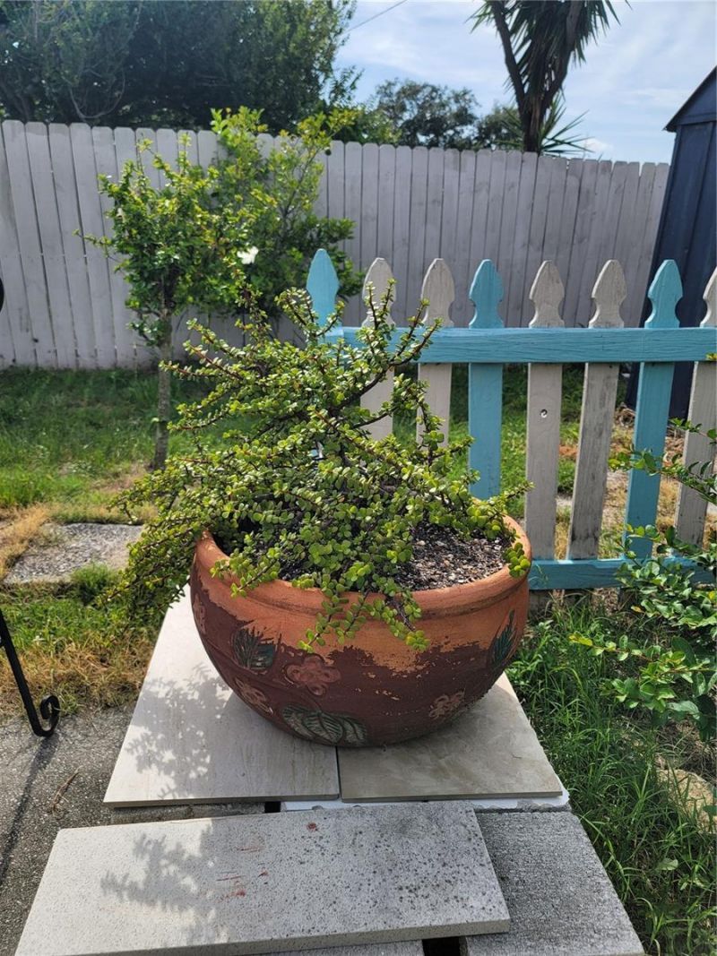 9826 Lehigh Drive, Port Richey, FL 34668 Photo