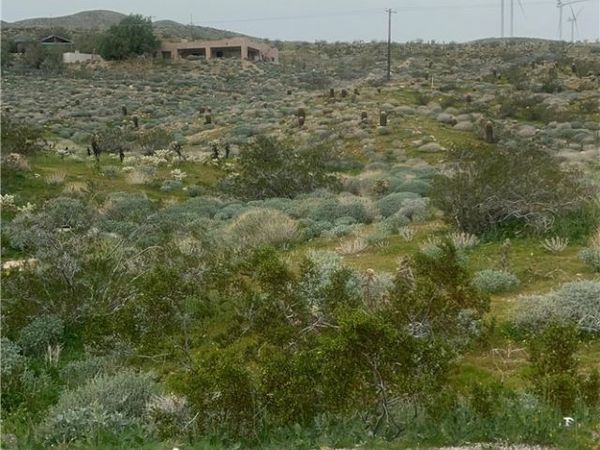 0 Painted Hills Rd, Whitewater, CA 92262