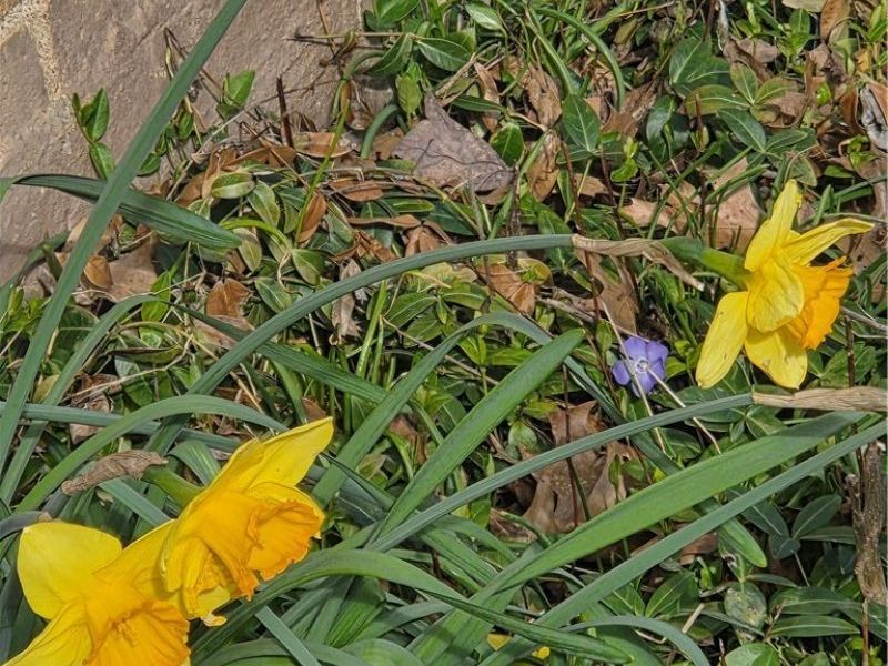 5933 Decker Road, North Olmsted, OH 44070 Photo 45