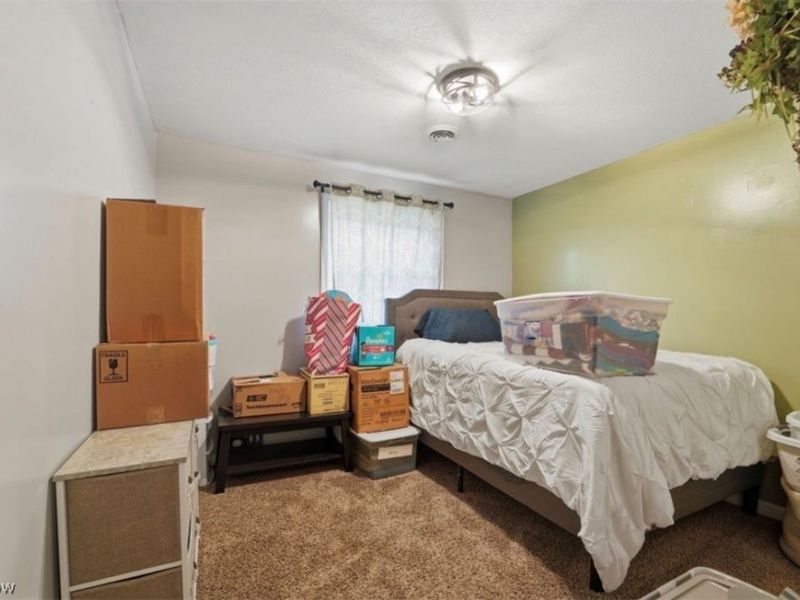 4132 Benetka Road, Ashtabula, OH 44004 Photo 19