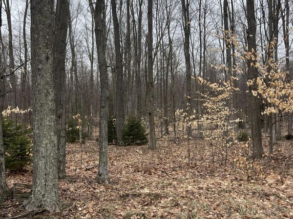 N Dennis Road, Ludington, MI 49431