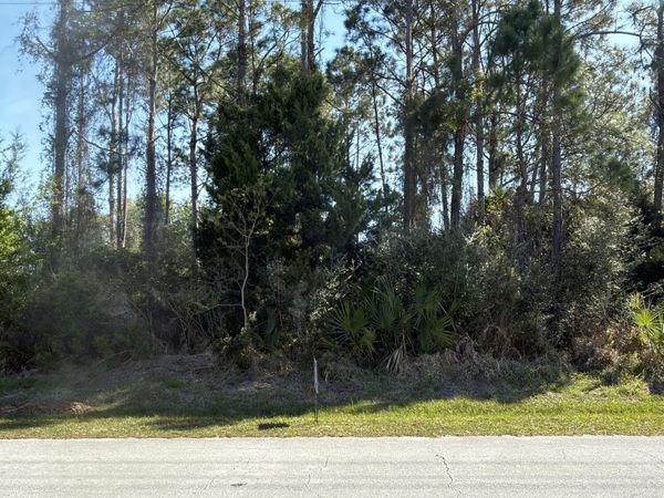 118 LARAMIE Drive, Palm Coast, FL 32137