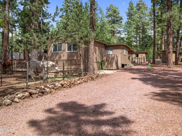 1659 MORMON Road, Happy Jack, AZ 86024