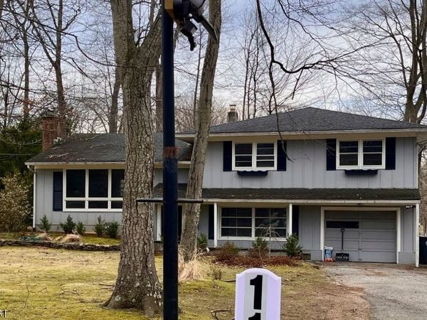 113 Woodland Ave, Morris, NJ 07960