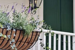 2431 Settlers Street photo 4