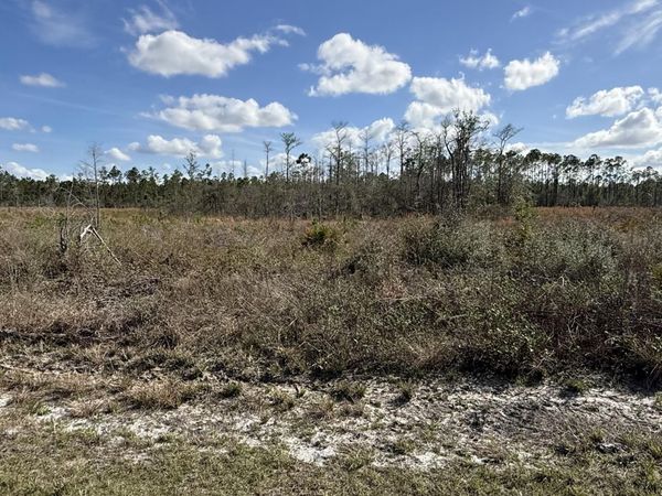 21703 Beech Valley Valley , Altha, FL 32421