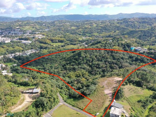 Carr. 173 CALLE ZAFIRO, Cidra, PR 00739