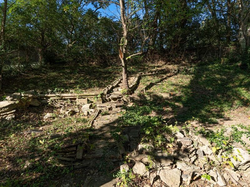 3320 Freddie, Cincinnati, OH 45205 Photo 26