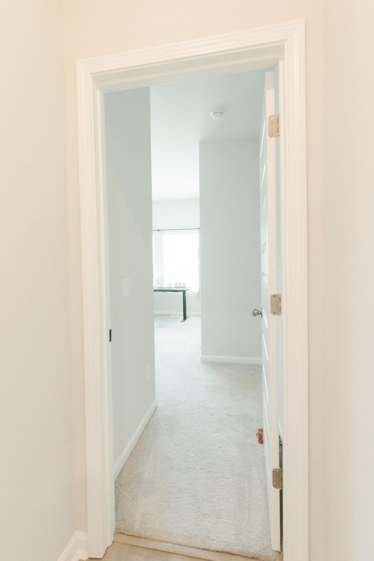 406 American Goldfinch Way Photo 26