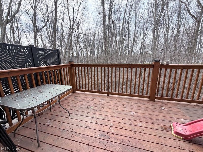 177 Raintree Lane , Painesville, OH 44077 Photo 39